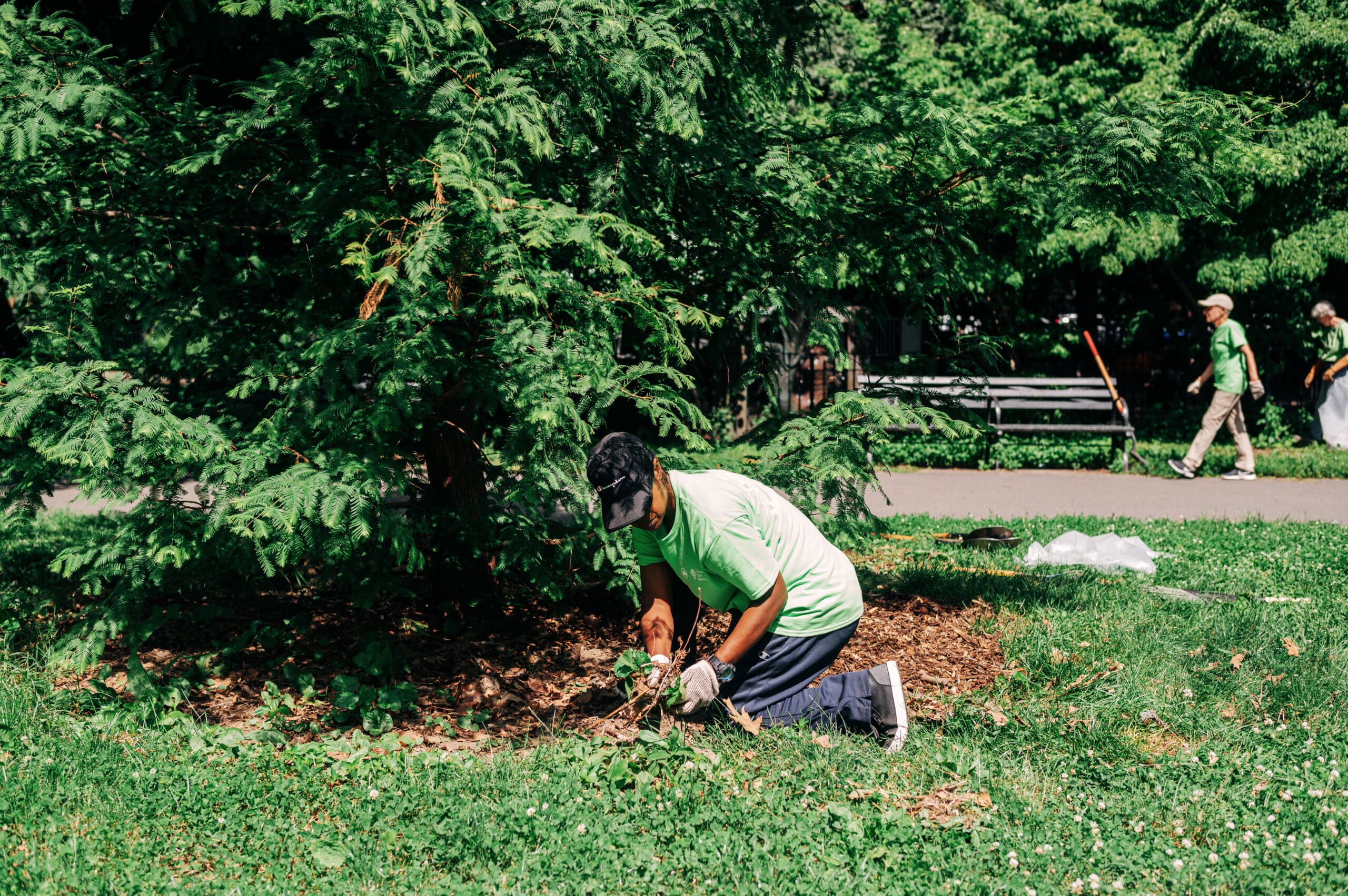 New Volunteer handling plants
